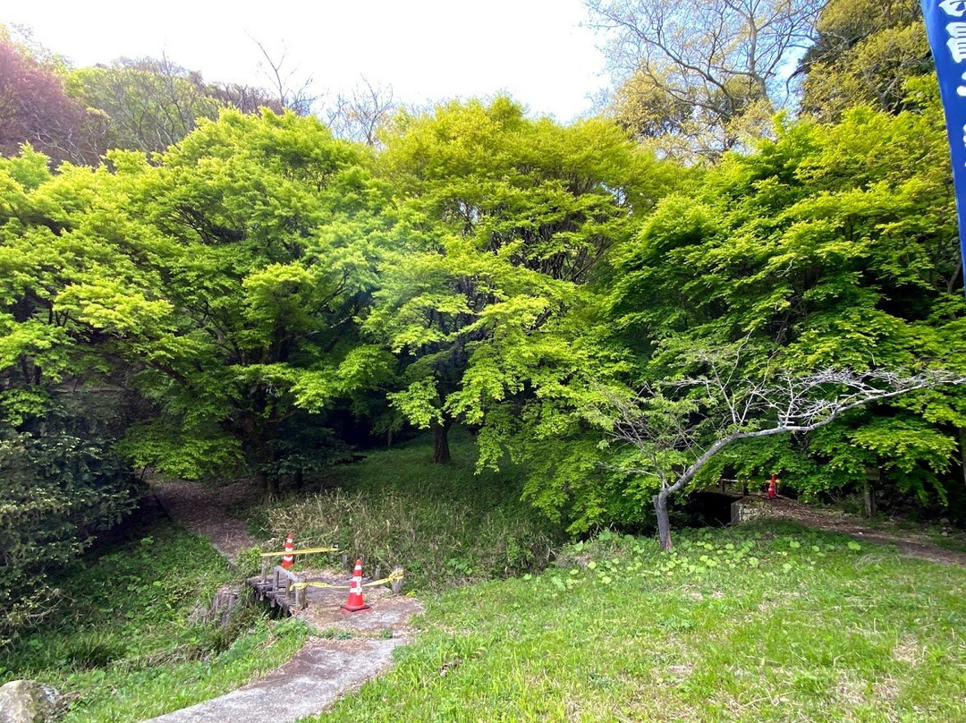 Eboshi Park-丰后大野市必去景点