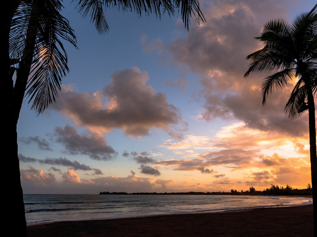 圣胡安丽思卡尔顿酒店主图