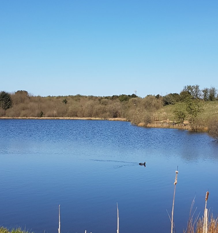 Beaufort Hill Ponds And Woodlands景点图片
