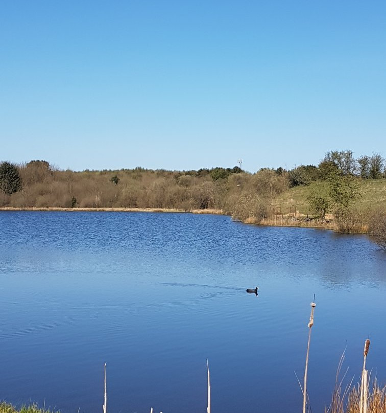 Beaufort Hill Ponds And Woodlands景点图片