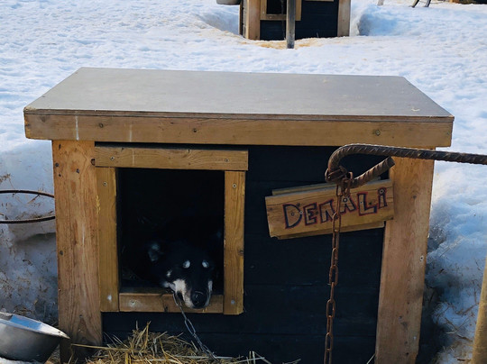 Trasti & Trine AS-阿尔塔必去景点