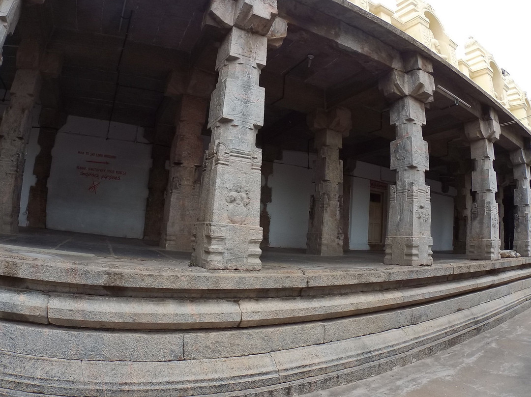 Navaneetha Krishna Temple景点图片