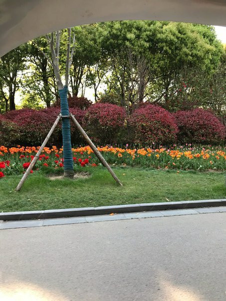 啬园-南通市必去景点