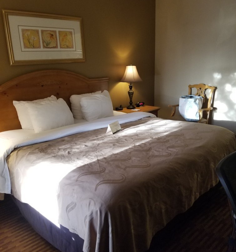 Quality Inn - US65 & East Battlefield Rd.主图