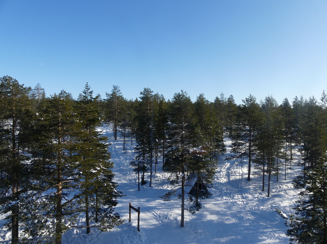 Ounasvaara Winter Trail景点图片