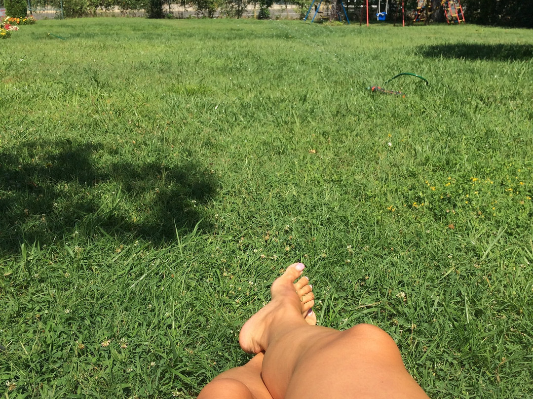 Guesthouse Kamelia主图