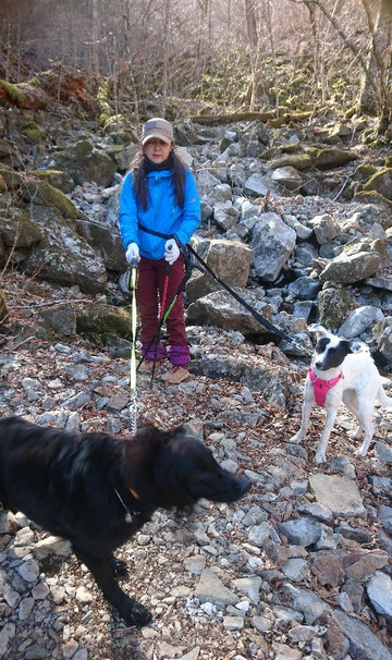 Mt. Mito-奥多摩町必去景点