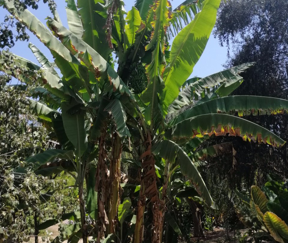 Santuario Del Picaflor-阿里卡必去景点
