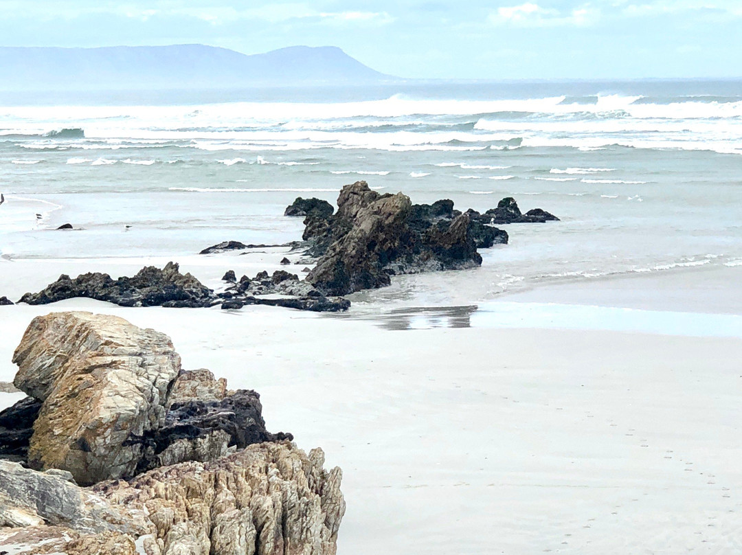 Voelklip Beach景点图片