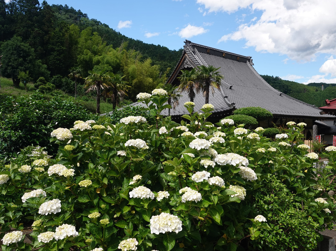 Chonen-ji Temple-饭能市必去景点