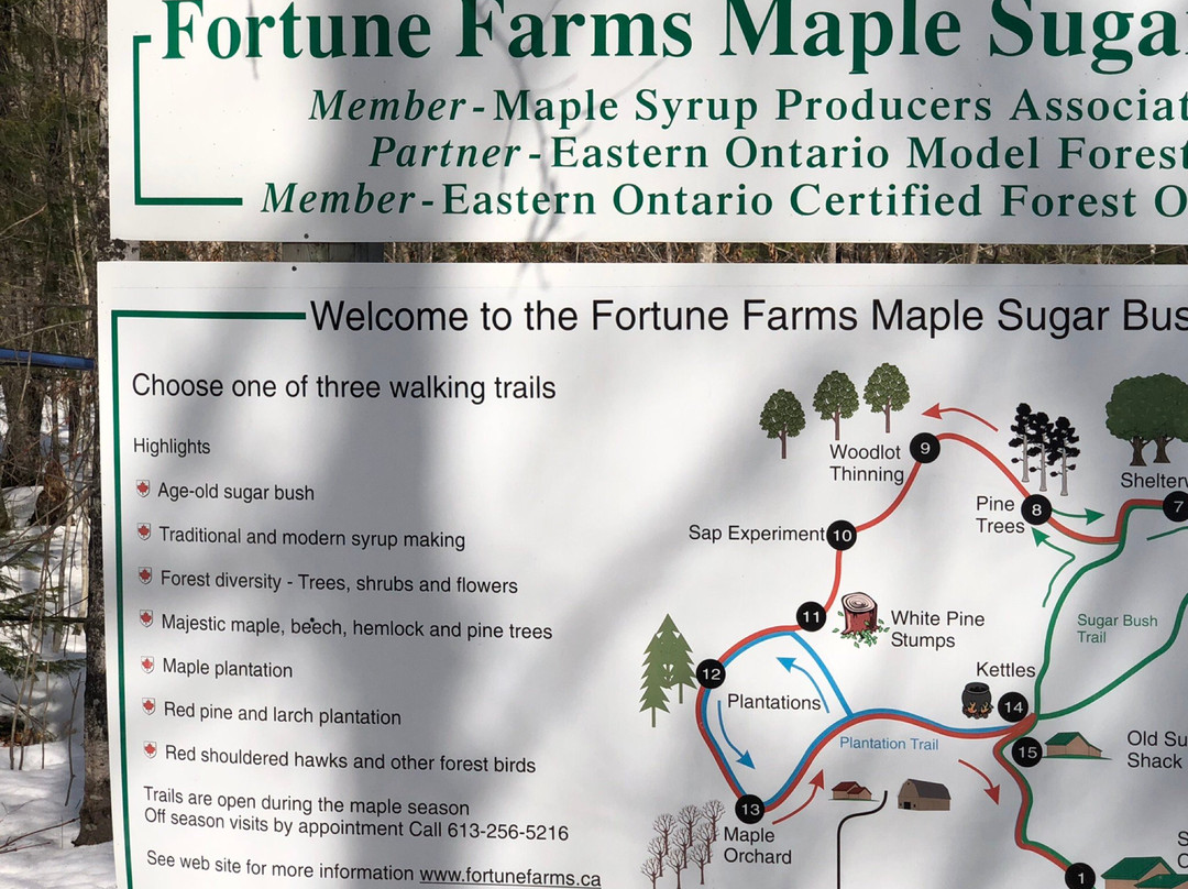 Fortune Farms景点图片