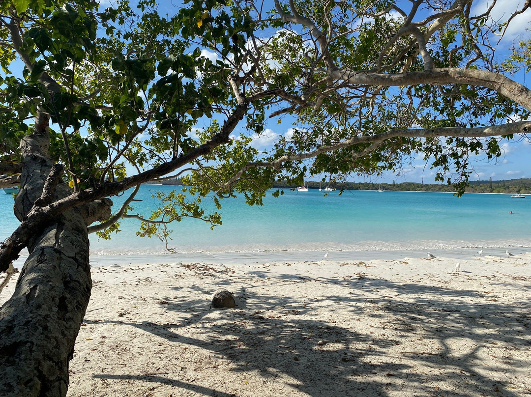Kuto Bay-Ile Des Pins必去景点