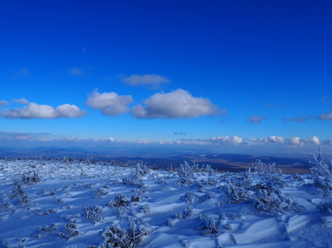 Babiogórski National Park-Zawoja必去景点