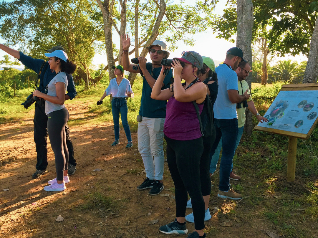 Rionilo Ecolodge主图