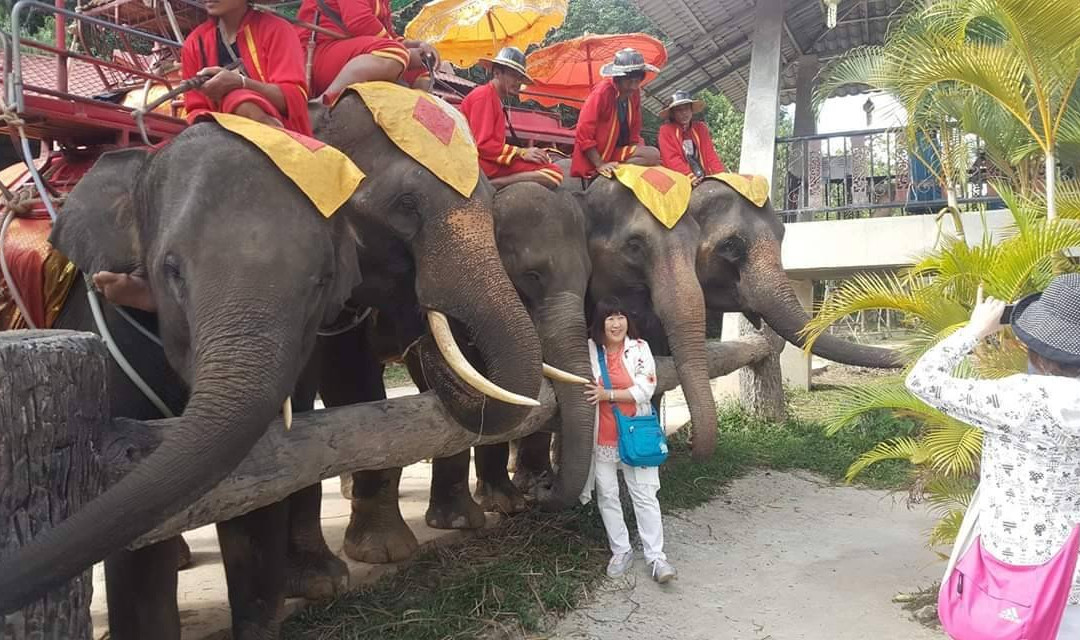 Chang Puak Camp Chiang Rai-清莱必去景点