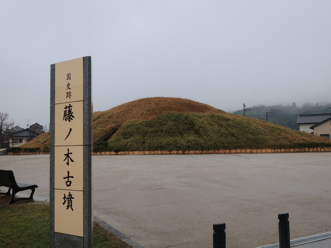 Fujinoki Tombs景点图片