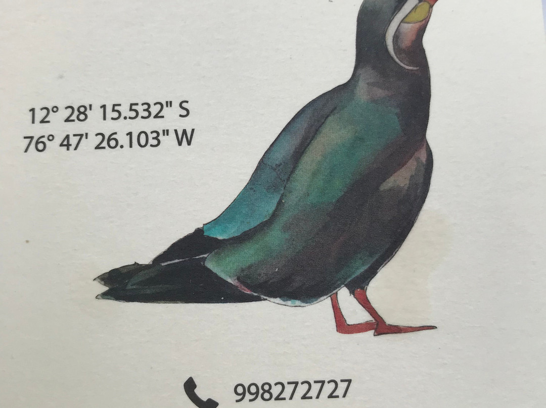 Pico Rojo Hosteria主图