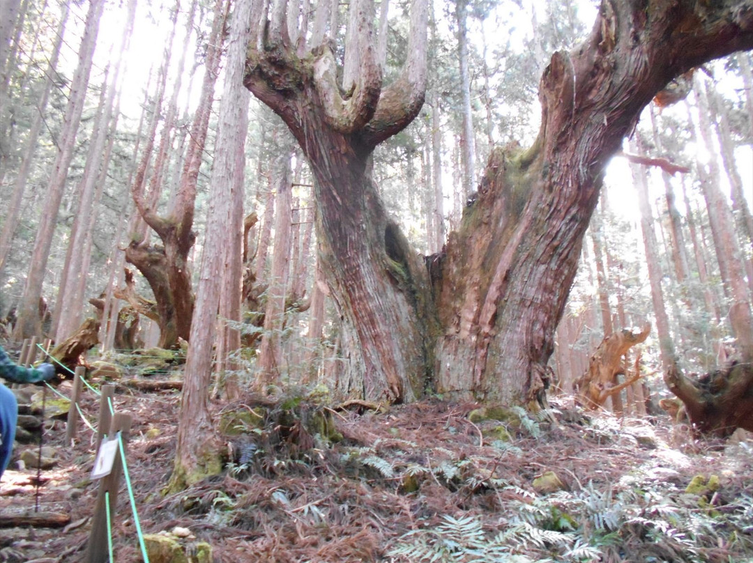 21 Seikinomori Park-关市必去景点