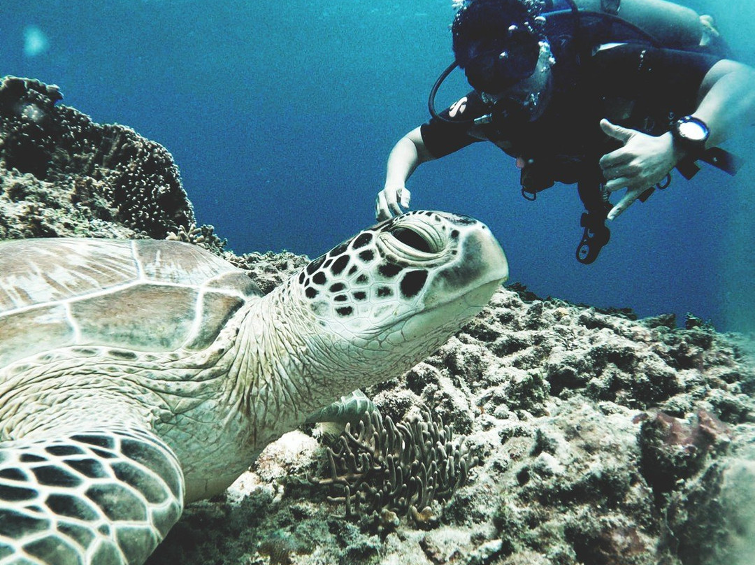 Gili Air Divers景点图片