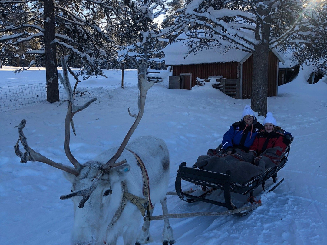 Torassieppi Reindeer Farm & Cottages-Muonio必去景点