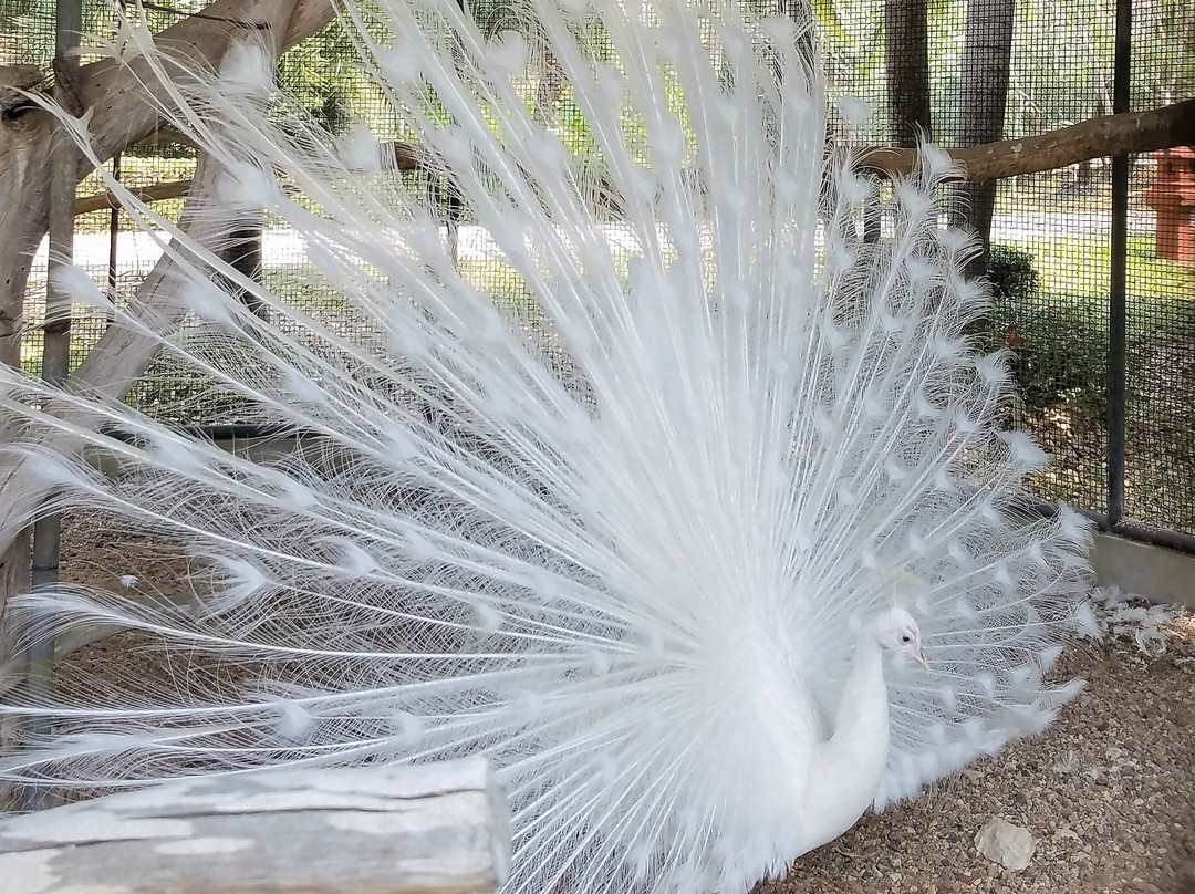 地平线乡村度假村主图