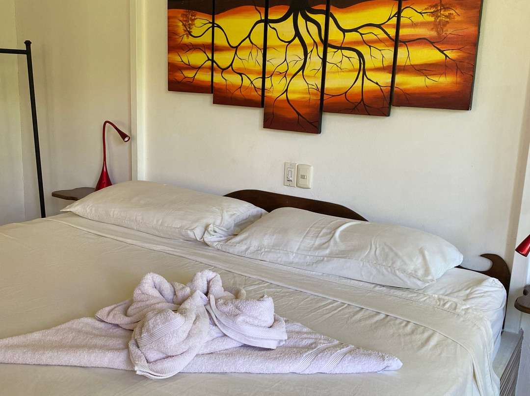 Casa Aba Matapalo主图