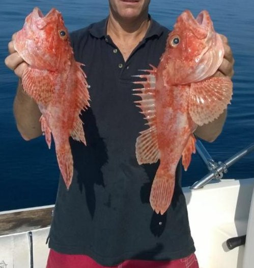 Sport Fishing Barcelona-巴塞罗那必去景点