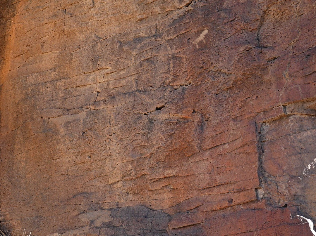 Kaibab Petroglyphs-威廉姆斯必去景点