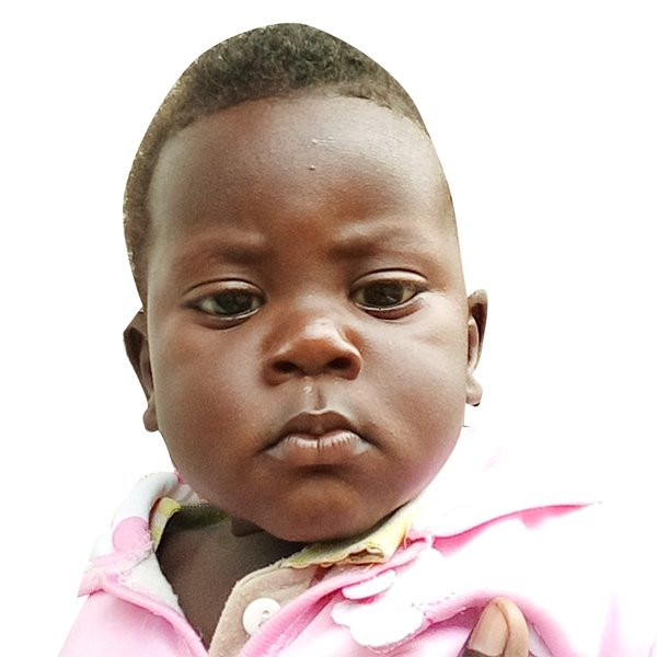 P Panorama Suites主图