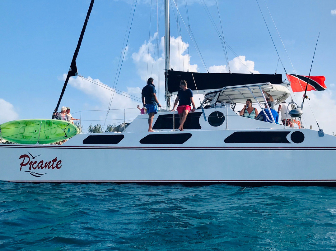 Sailing Catamaran Picante Private Day Tours-克朗波因特必去景点