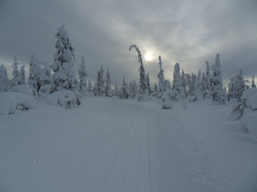 Ruuhitunturi Cross Country Ski Trails-Salla必去景点