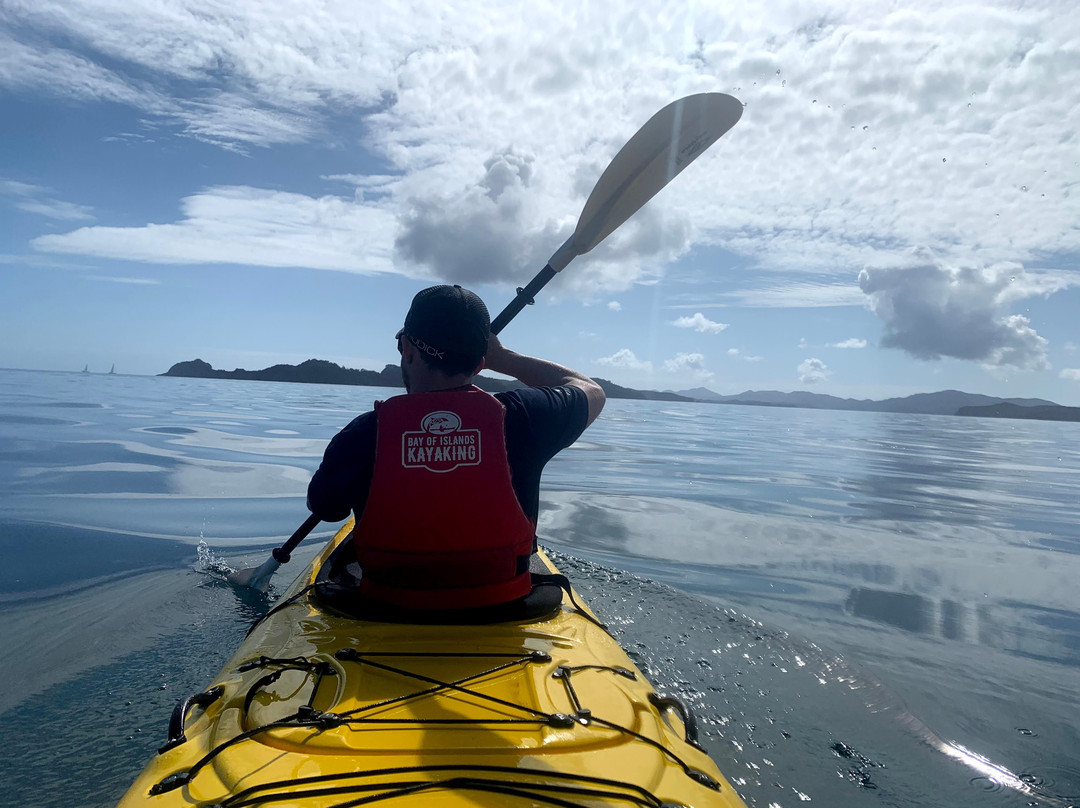 Bay of Islands Kayaking-派希亚必去景点