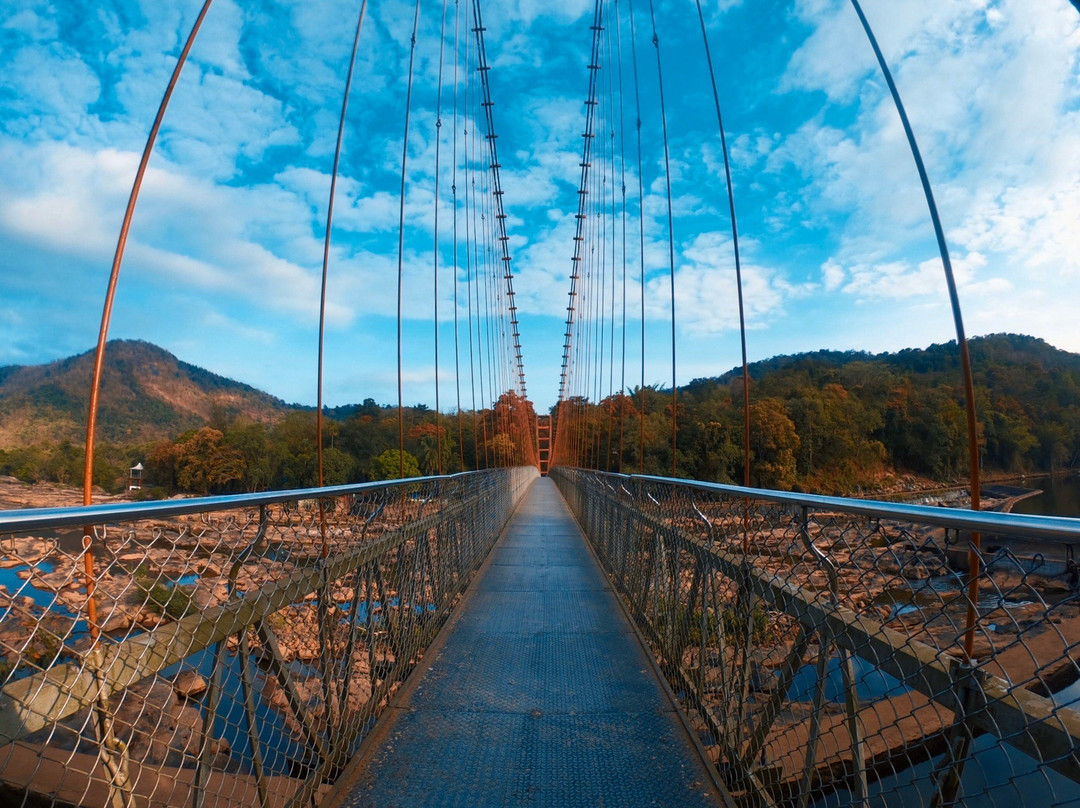 Thumboormuzhi Dam & Garden景点图片
