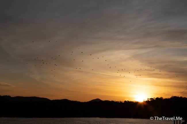 Kalong (Flying Foxes) Island-Labuan Bajo必去景点