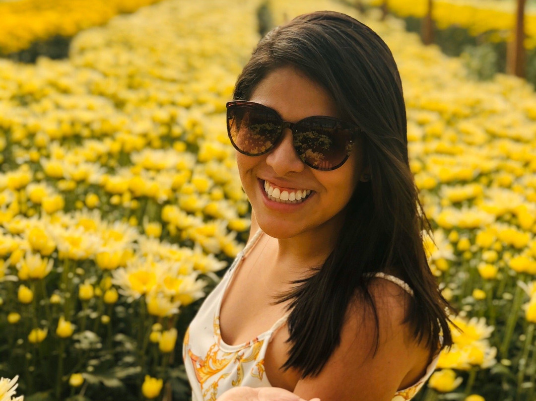 Holambra Garden Hotel主图