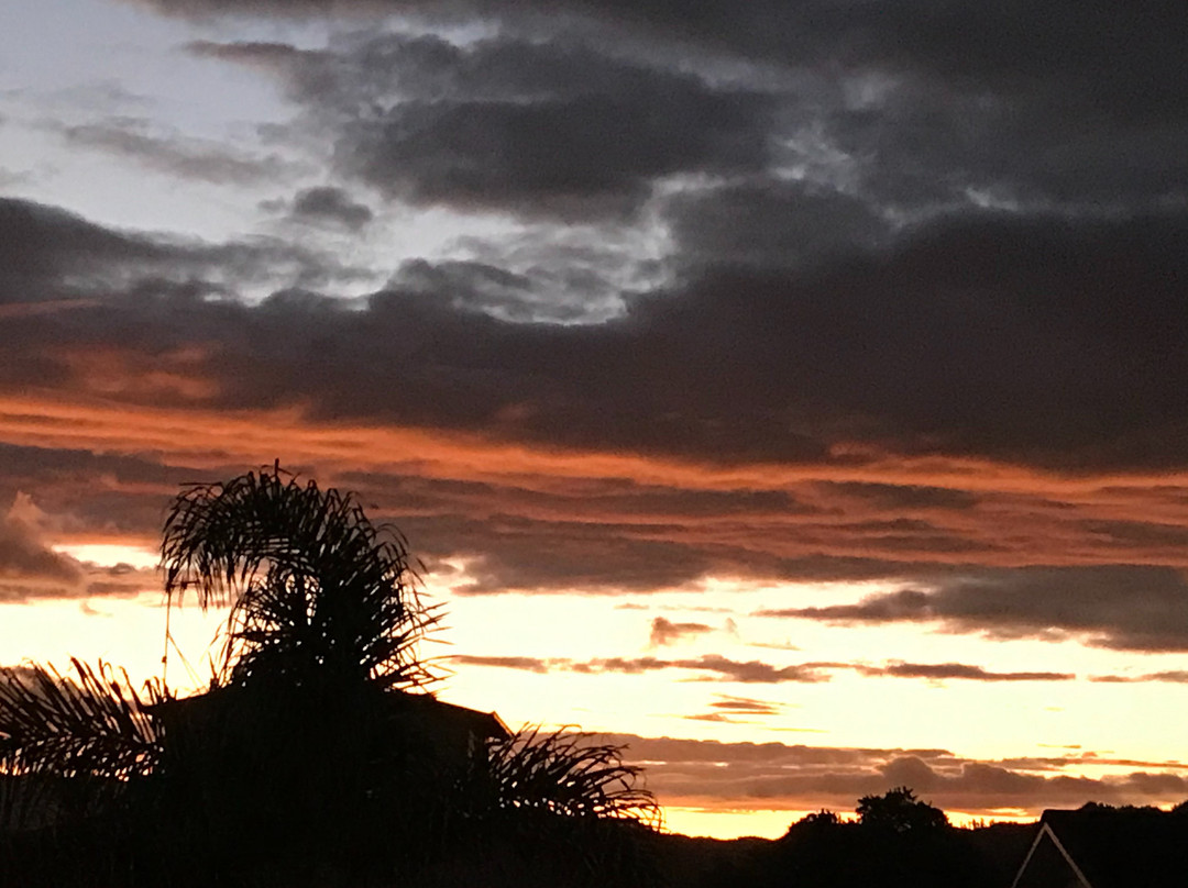 Oceanside Motel Whitianga主图