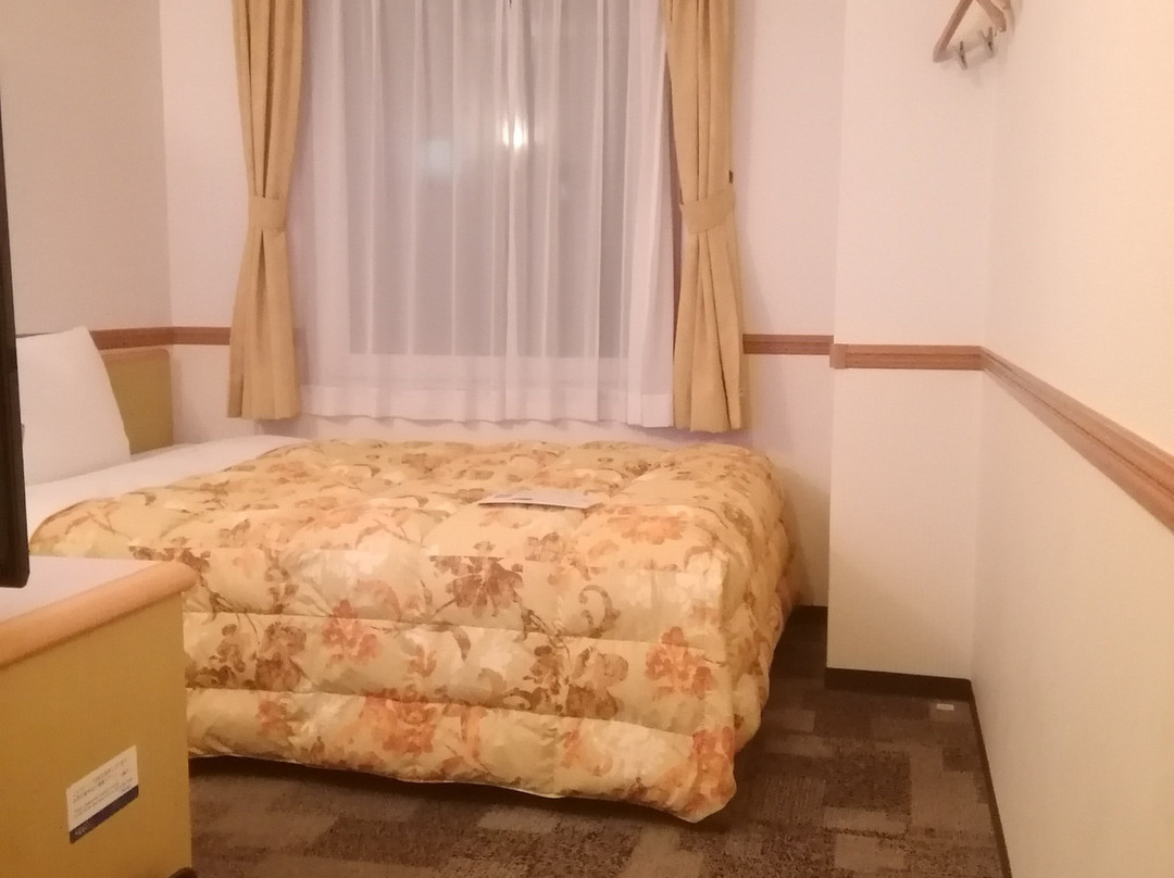 东横INN 德岛站眉山口主图