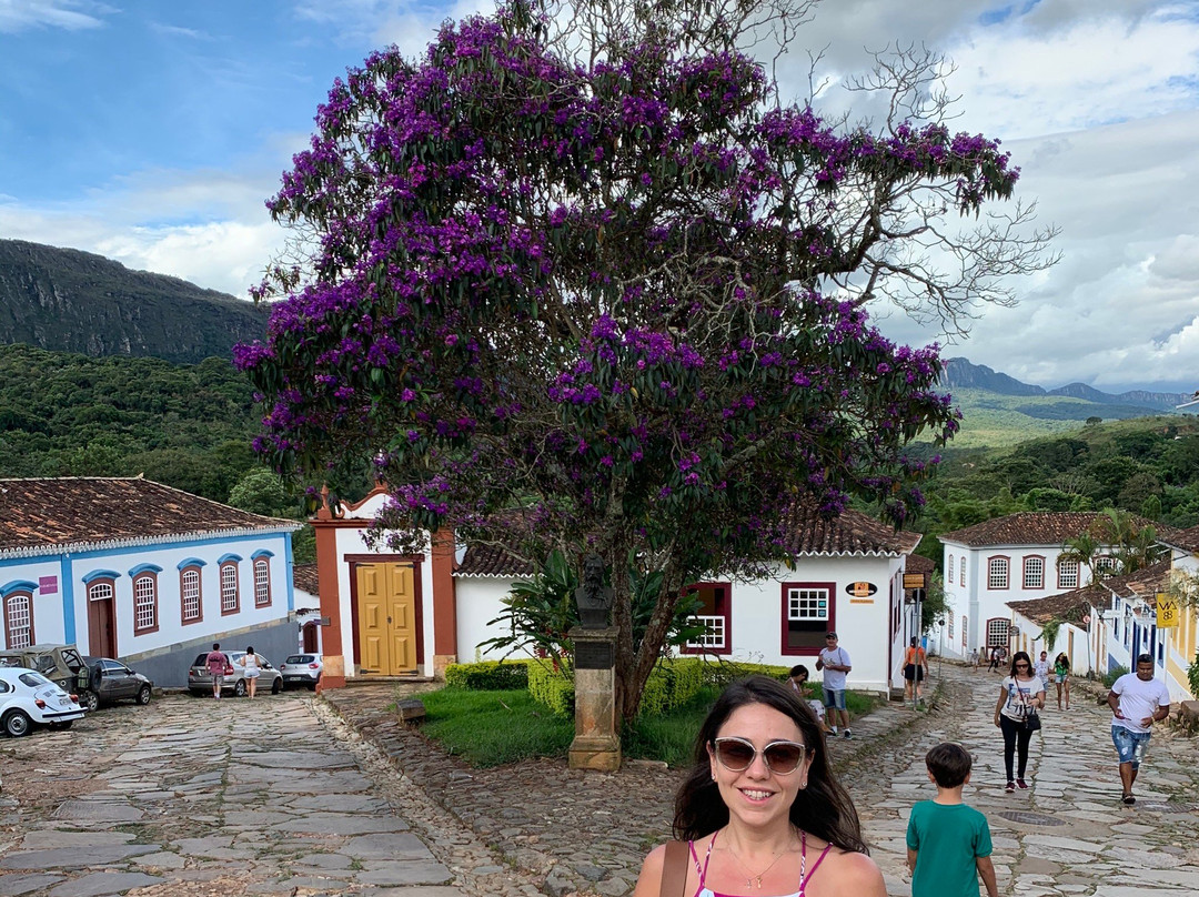 Atelier do Arquiteto Sérgio Ramos-蒂拉登特斯必去景点