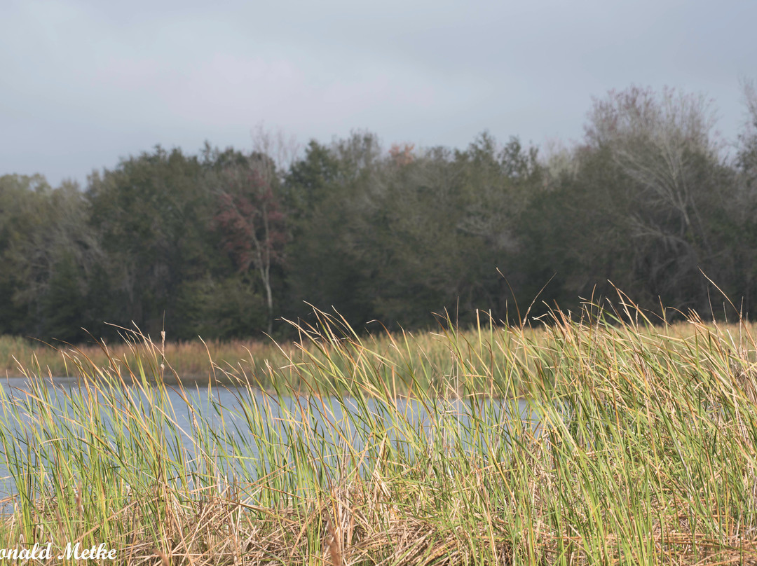 Colt Creek State Park-莱克兰必去景点