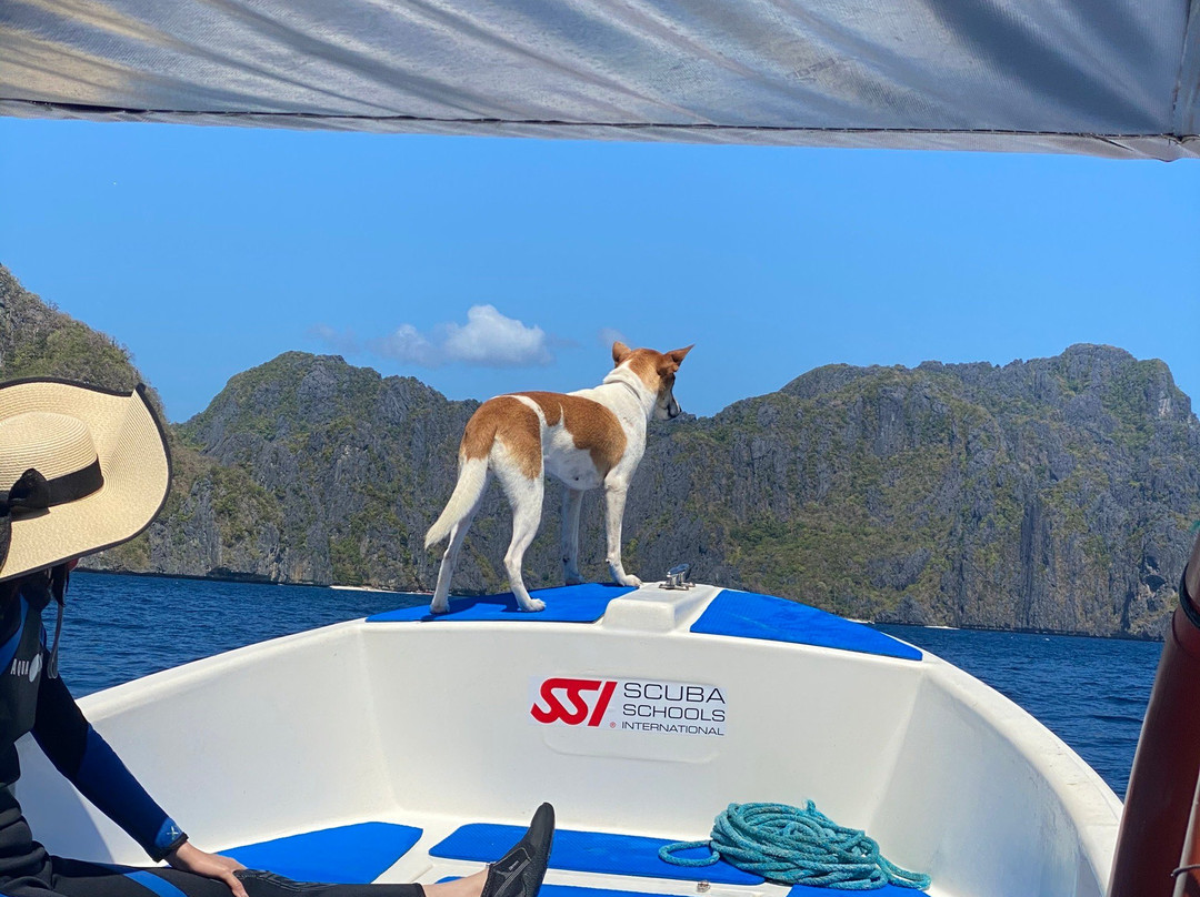 Ranmarc Dive Shop and Services-爱妮岛必去景点