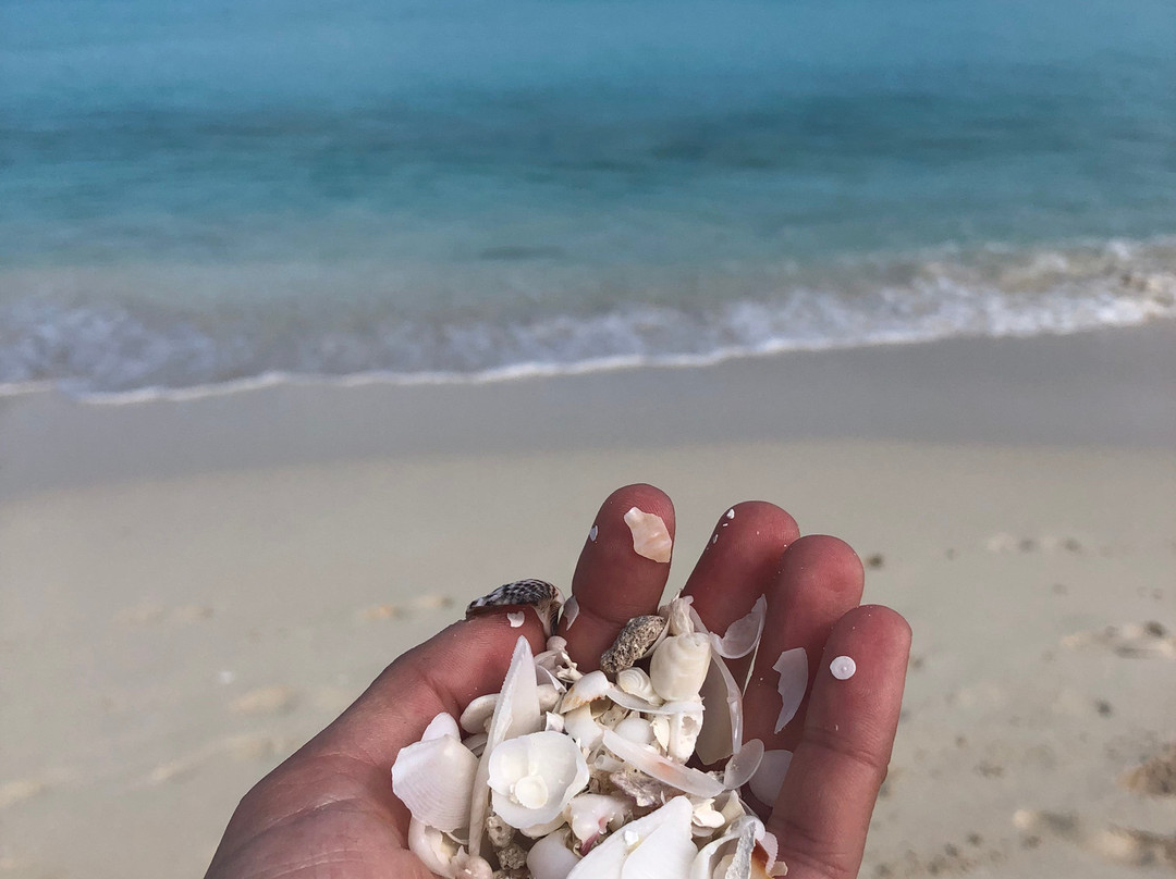 Hostal Colonial Alelusa主图