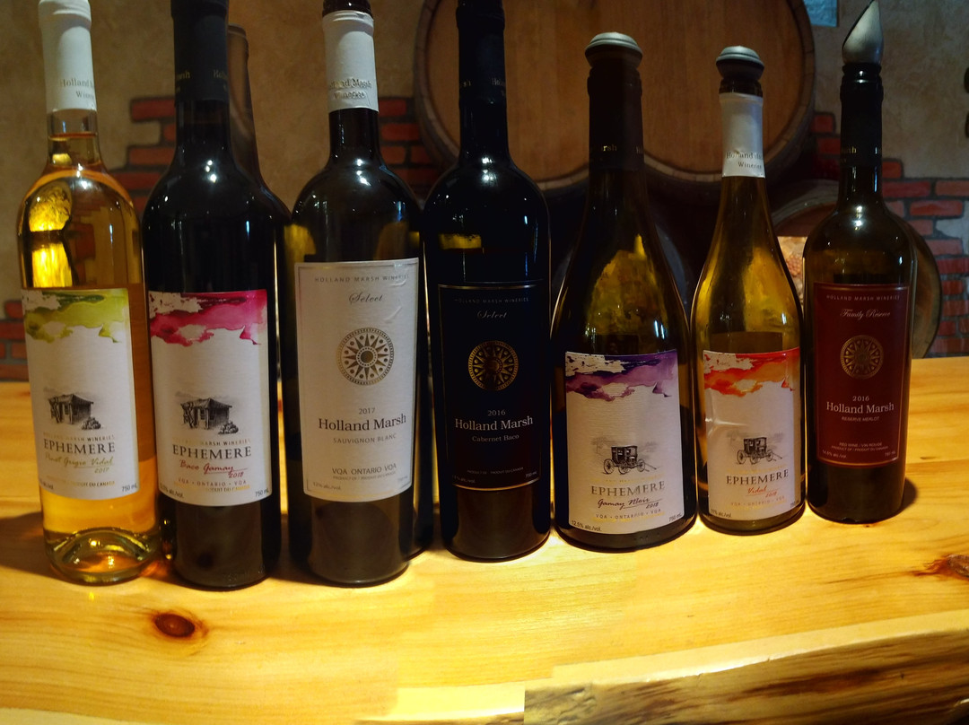 Holland Marsh Wineries-Newmarket必去景点