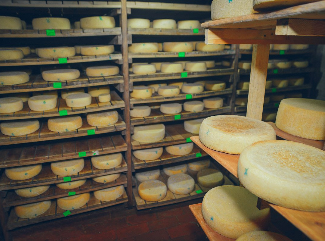 Tilsit Ragnit Cheese Factory景点图片