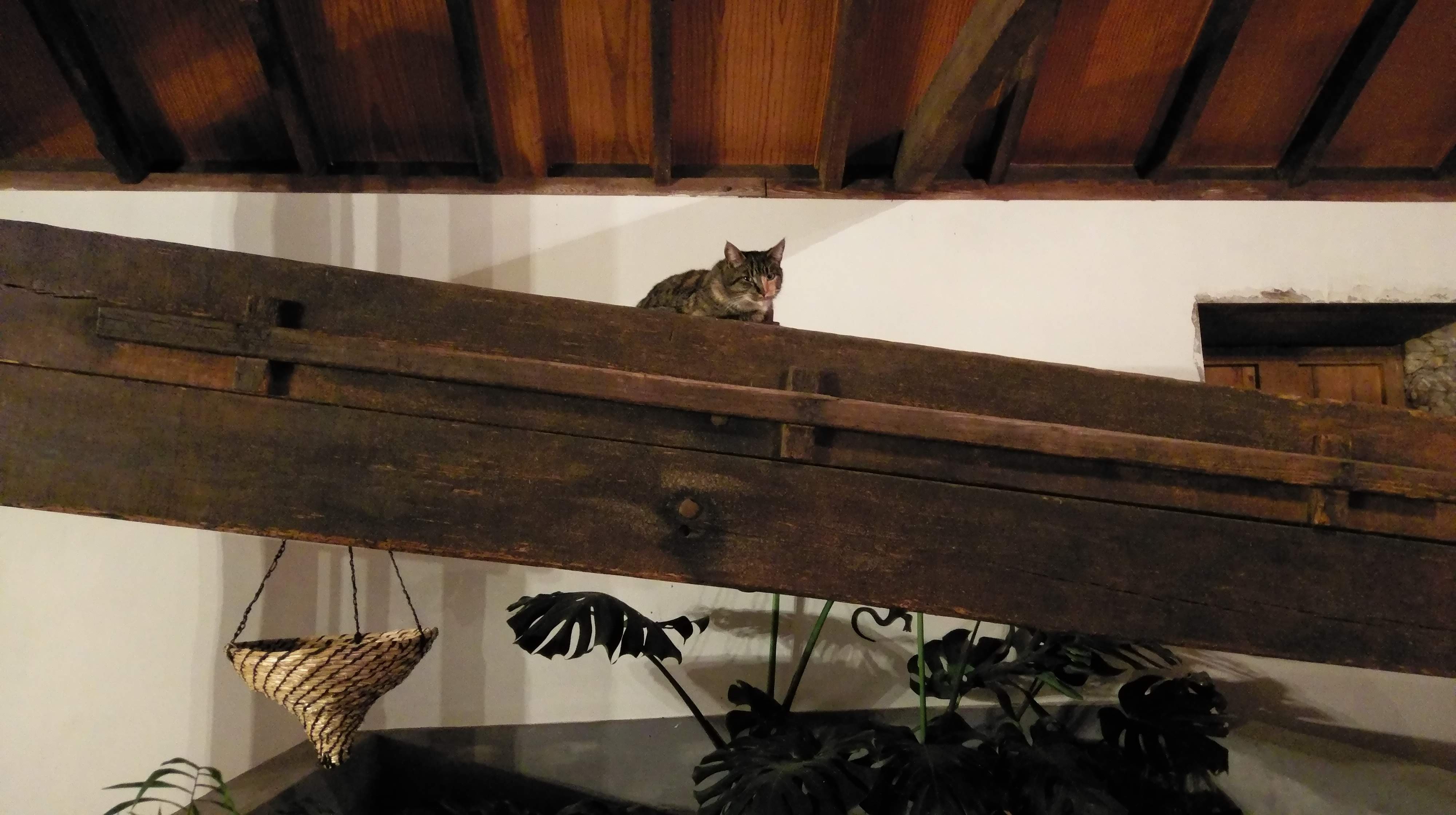 Hotel Anaterve-浴室