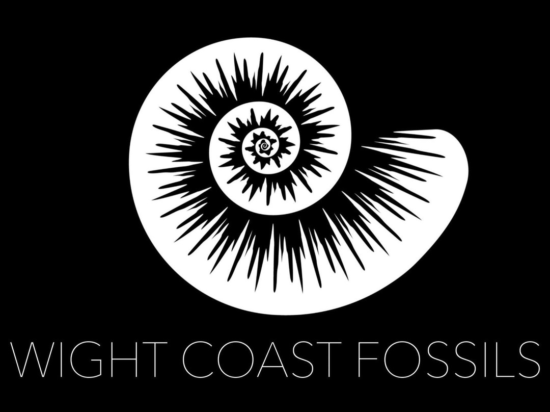 Isle of Wight Fossil Walks- Wight Coast Fossils-文特诺必去景点