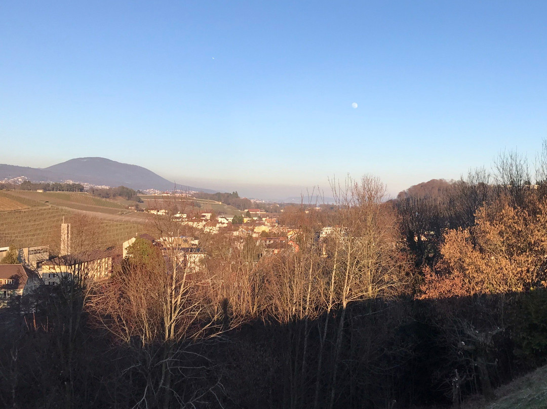 Musée de la Vigne et du Vin-Boudry必去景点