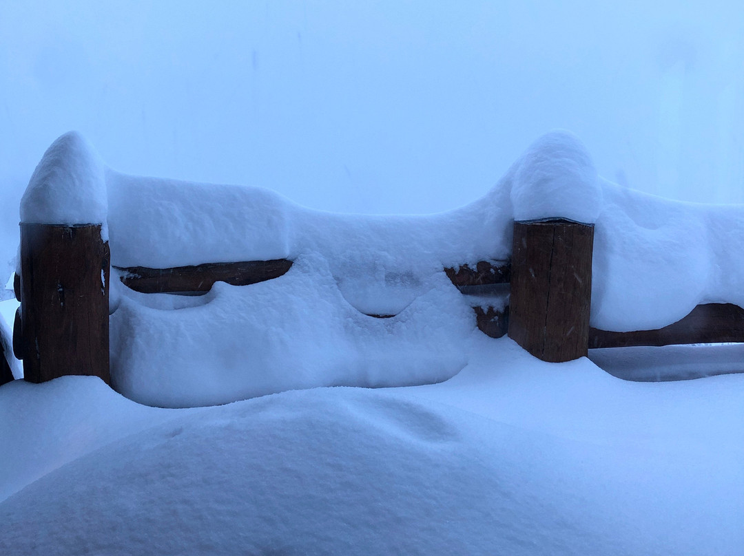 Grizzly Outfitters Ski & Backcountry Sports-大斯凯必去景点