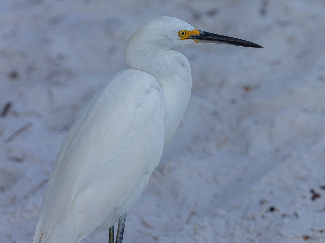 Ted Sperling Park-萨拉索塔必去景点