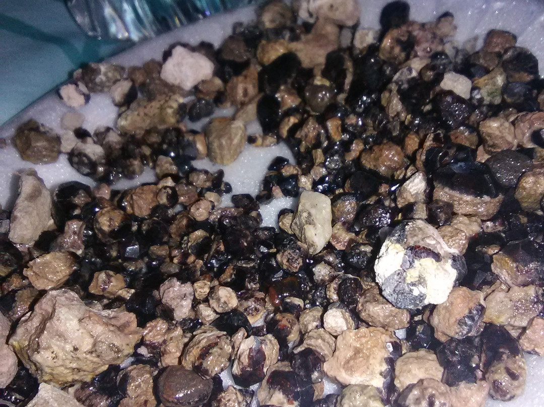 Garnet Hill-Ely必去景点