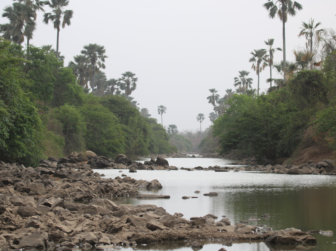 Parc National du Niokolo-Koba景点图片